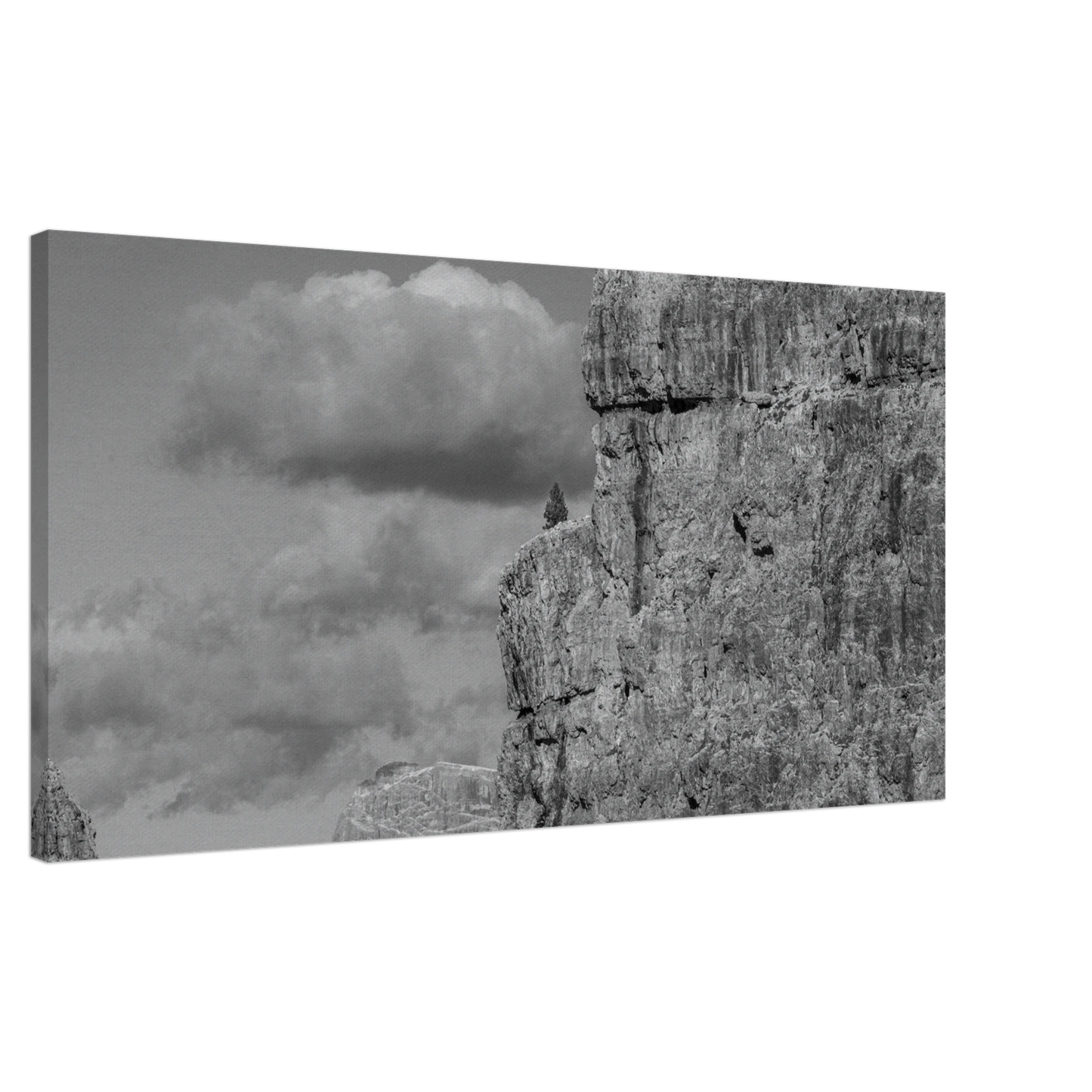 Lonely tree on Dolomite cliff black and white canvas print